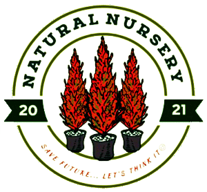 Natural Nursery